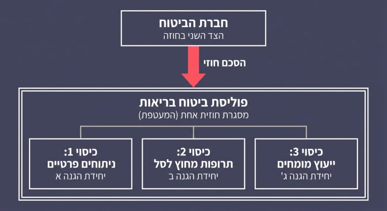 תרשים הממחיש כיצד פוליסה אחת בביטוח בריאות כוללת כמה כיסויים נפרדים מול חברת הביטוח